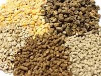 Animal Feed for Sale
